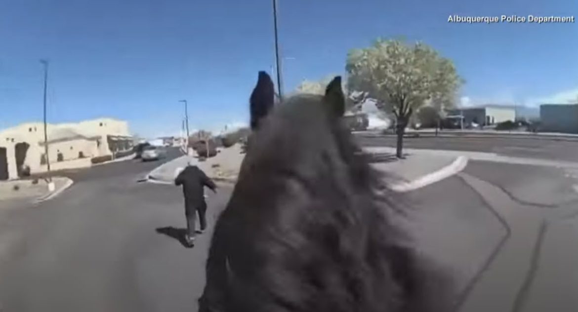 Sticky-Fingers-Met-Swift-Hooves-Police-on-Horseback-Corral-Alleged-Walgreens-Thief